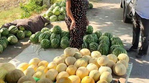 今日吃瓜热门,揭秘娱乐圈最新八卦风云