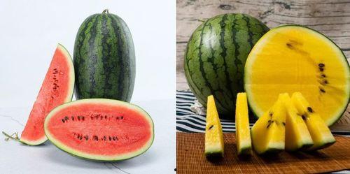 在线吃瓜网,在线吃瓜网带你领略网络娱乐新风尚